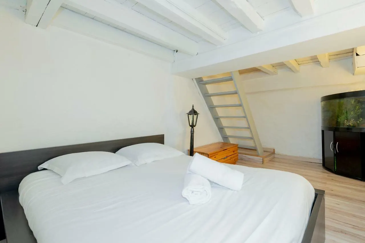 Le Lafayette Apartment Toulouse